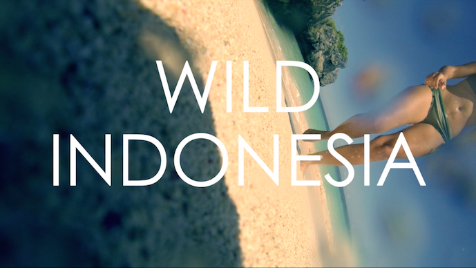 Wild Indonesia // A GoPro Video